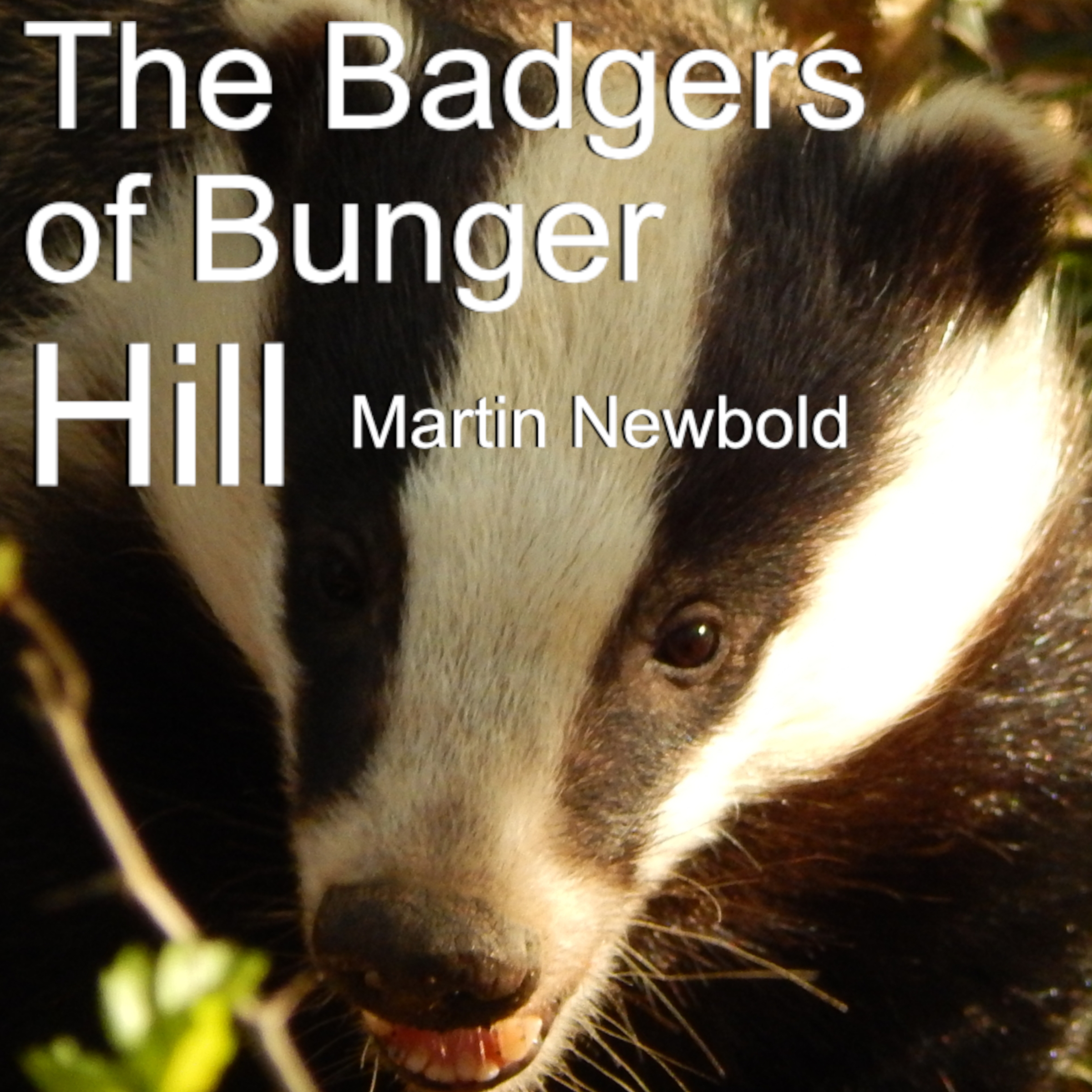 Badgers of Bunger Hill